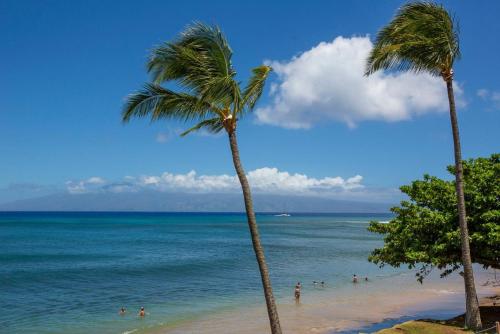 two palm trees on a beach with people in the water at Oceanfront corner unit w/ ac! sk215- Sullivan in Kahana