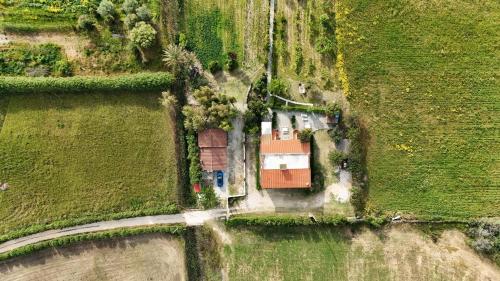 Afbeelding uit fotogalerij van Orosei RE - Villa Samuela a 50 m dal mare in Orosei
