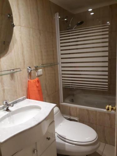 a bathroom with a toilet and a sink and a shower at DEPARTAMENTOS TERMAS DE CHILLAN in Nevados de Chillan