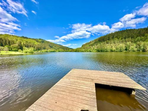 a dock on a lake in the middle of a forest at Apartment Joelle mit Sauna, Schwimmteich und Gym in Erbach im Odenwald