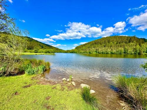 a lake in the middle of a field with trees at Apartment Joelle mit Sauna, Schwimmteich und Gym in Erbach im Odenwald