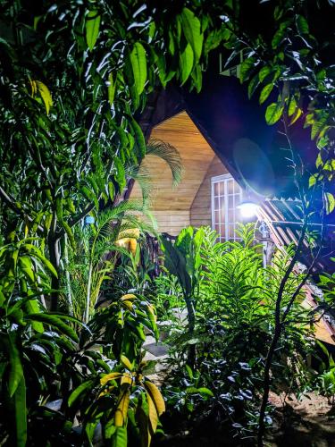 a house is seen through the leaves of trees at The Emerald Guest House & Villa in Unawatuna