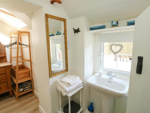 a bathroom with a sink and a mirror at Toad Hall Cottage in Totnes