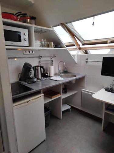 une petite cuisine avec un évier et un micro-ondes dans l'établissement La studette de Vesle, à Reims