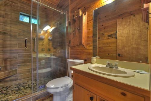 W łazience znajduje się toaleta, umywalka i prysznic. w obiekcie Cozy Mountain Cabin w mieście Ellijay