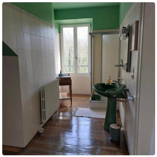 ein Bad mit einem grünen Waschbecken und einem Fenster in der Unterkunft Le Clos Saint Roch in Saint-Amand-Jartoudeix