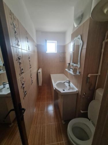 a small bathroom with a sink and a toilet at Apartament Eric in Mangalia