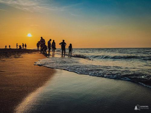 grupa ludzi spacerujących po plaży o zachodzie słońca w obiekcie Domki Sosnowa Przystań w Rozewiu - Jastrzębia Góra w Jastrzębiej Górze