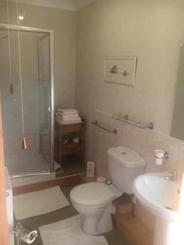 a bathroom with a toilet and a shower and a sink at Fferm Glanyrynys Farm in Carmarthen