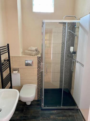 a bathroom with a shower and a toilet and a sink at 2-Zimmer Zentral in Ferdinandshof, WLAN Modern in Ferdinandshof