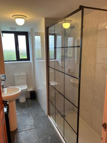 y baño con ducha, aseo y lavamanos. en Rhossili's Retreat - AONB - Gower Rural Sleeps up to 6, en Swansea
