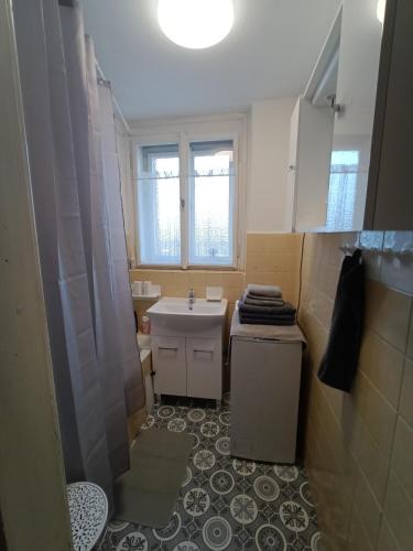 a small bathroom with a sink and a toilet at Garden Apartman Malvazinky in Prague
