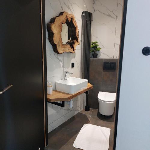 a bathroom with a sink and a toilet at Pokoje Gościnne Tessa in Chełm