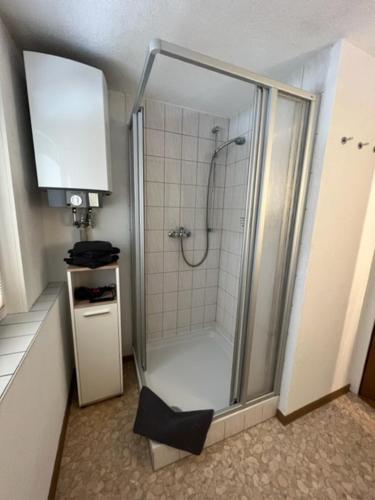 a shower with a glass door in a bathroom at Ferienhaus Rennsteighütte 2 in Brotterode