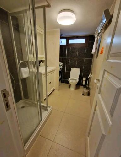 a bathroom with a glass shower and a toilet at Butterfly Home in Platres