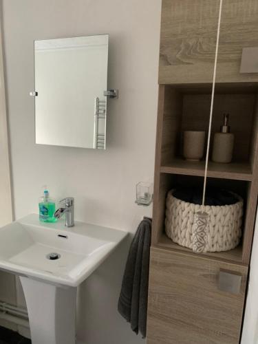a bathroom with a sink and a mirror at The Lodge@Tyddyn Ucha in Caernarfon