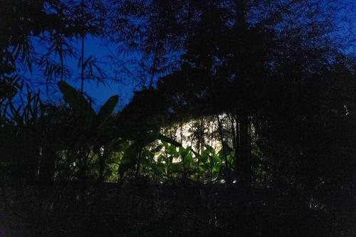Κήπος έξω από το Sakya Yoja Villa