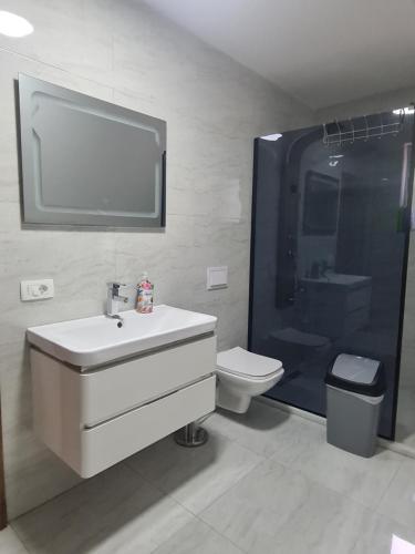 a bathroom with a sink and a toilet and a tv at Villa Ozoni 2 - Jezerc in Ferizaj