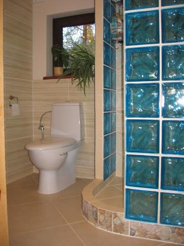 a bathroom with a toilet and a glass wall at Dom na Jutrzenki in Augustów