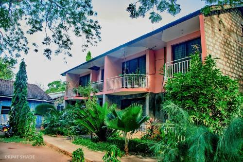 Un bâtiment avec beaucoup de plantes devant lui dans l'établissement PRIMESHADE GUESTHOUSE, à Malindi