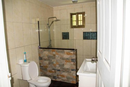 uma casa de banho com um chuveiro, um WC e um lavatório. em Fijian Homestay - 3 bedroom house em Nadi