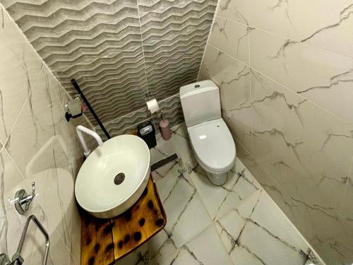 a bathroom with a toilet and a sink at Wayside Cottage in Batumi