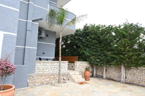 a palm tree in front of a building at Vila La Familia in Ksamil