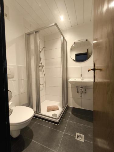 a bathroom with a shower and a toilet and a sink at HAUS BENICO -Pension- in Ernst