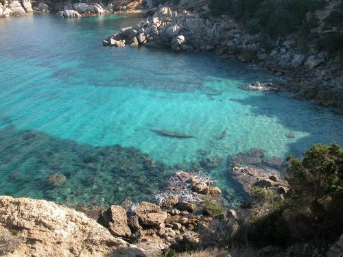 a large body of water with some fish in it at Hotel Moderno in Santa Teresa Gallura