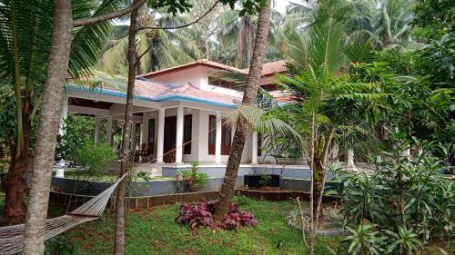 a house in the middle of a forest with trees at Bellevue Homestay - Ayurvedic Wellness Centre in Kozhikode