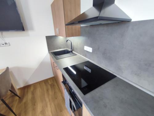 a kitchen with a sink and a stove at Zámeček Čeřov in Jičín