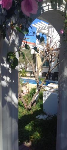 an archway with a tree in front of a pool at Les Sons du Jardin Monastir in Monastir
