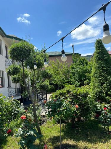 a garden with a group of plants and lights at LARDA TBILISI in Tbilisi City