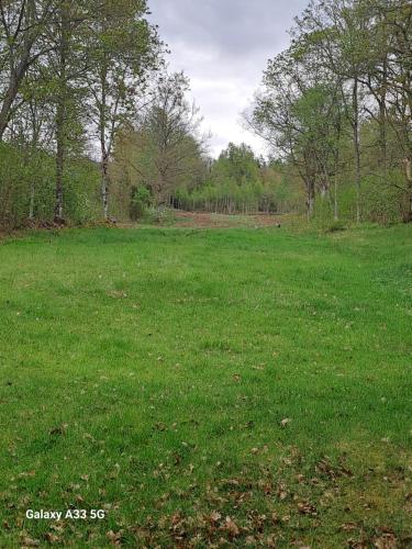 a field of green grass with trees in the background at Bastanäs Rosenberg in Linneryd