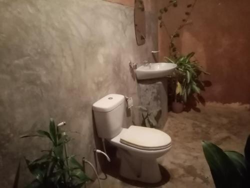 La salle de bains est pourvue de toilettes et d'un lavabo. dans l'établissement Mystay, à Mawanella