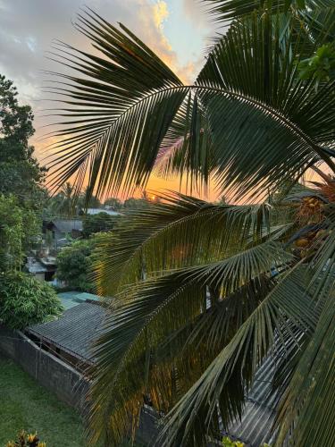 a palm tree with the sunset in the background at Mystay in Mawanella
