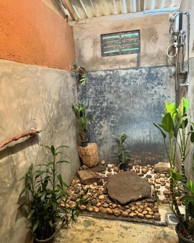 a garden room with plants and a shower at Mystay in Mawanella