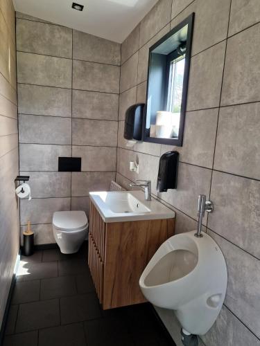a bathroom with a white toilet and a sink at Lisi Ogon zanurzeni w naturze in Lisi Ogon