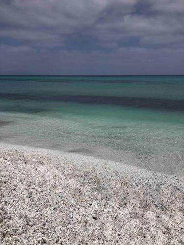 a beach with the ocean and the water at Casa nuova indipendente in Sardegna in Laerru