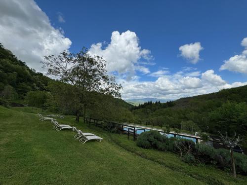 a row of white benches sitting in a grass field at Bio Agriturismo Il Vigno in Caprese Michelangelo