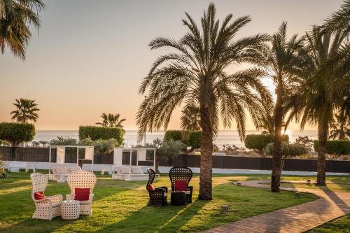 a group of chairs and palm trees on a lawn at ALEGRIA Palacio Mojacar - Adults Only in Mojácar