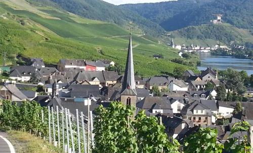a small town with a church in a valley at Weinhaus Hotel zum Josefshof in Graach