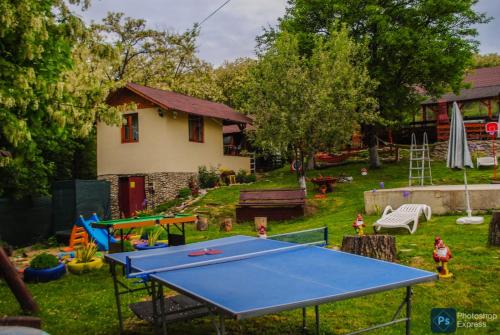 a backyard with a ping pong table and a house at Căsuțele dintre vii in Runcu