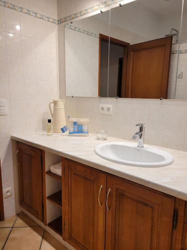 un comptoir de salle de bain avec un lavabo et un miroir dans l'établissement Grand Gites 6 personnes Uriage Chamrousse Grenoble, à Revel