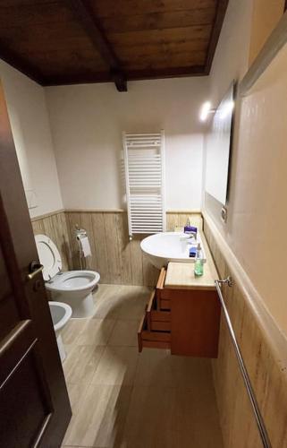a bathroom with a toilet and a sink at 2PoggioValentine Mansion Nature in Scansano