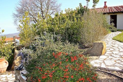 a garden with red flowers and a stone path at 2PoggioValentine Mansion Nature in Scansano