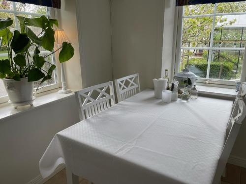 einem weißen Tisch mit einem weißen Tischtuch und einer Pflanze in der Unterkunft Nyhamnsläge med sundsutsikt och nära till strand. in Nyhamnsläge