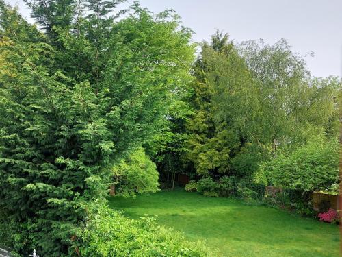 un patio con árboles y césped con un campo verde en Charming 1 bedroom self-contained flat. en Wellington