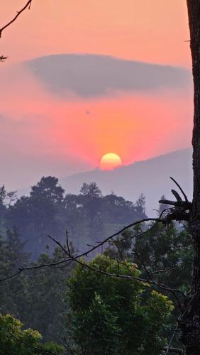 a sunset in the jungle with trees in the foreground at Yuk's villa in Gūdalūr