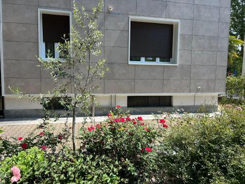 Vonkajšia záhrada v ubytovaní BeB via Sardegna